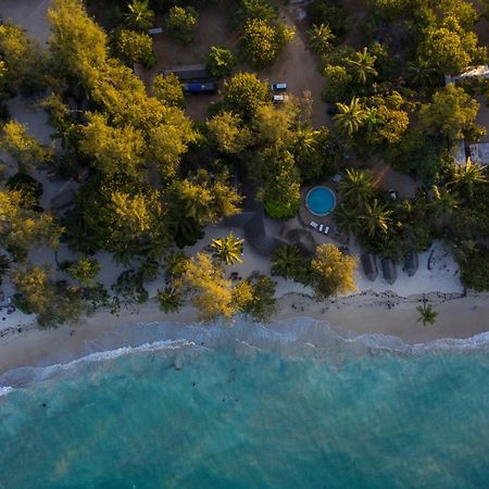 Hostel Mikadi Beach Camp & Backpackers Dar es Salaam Exteriér fotografie