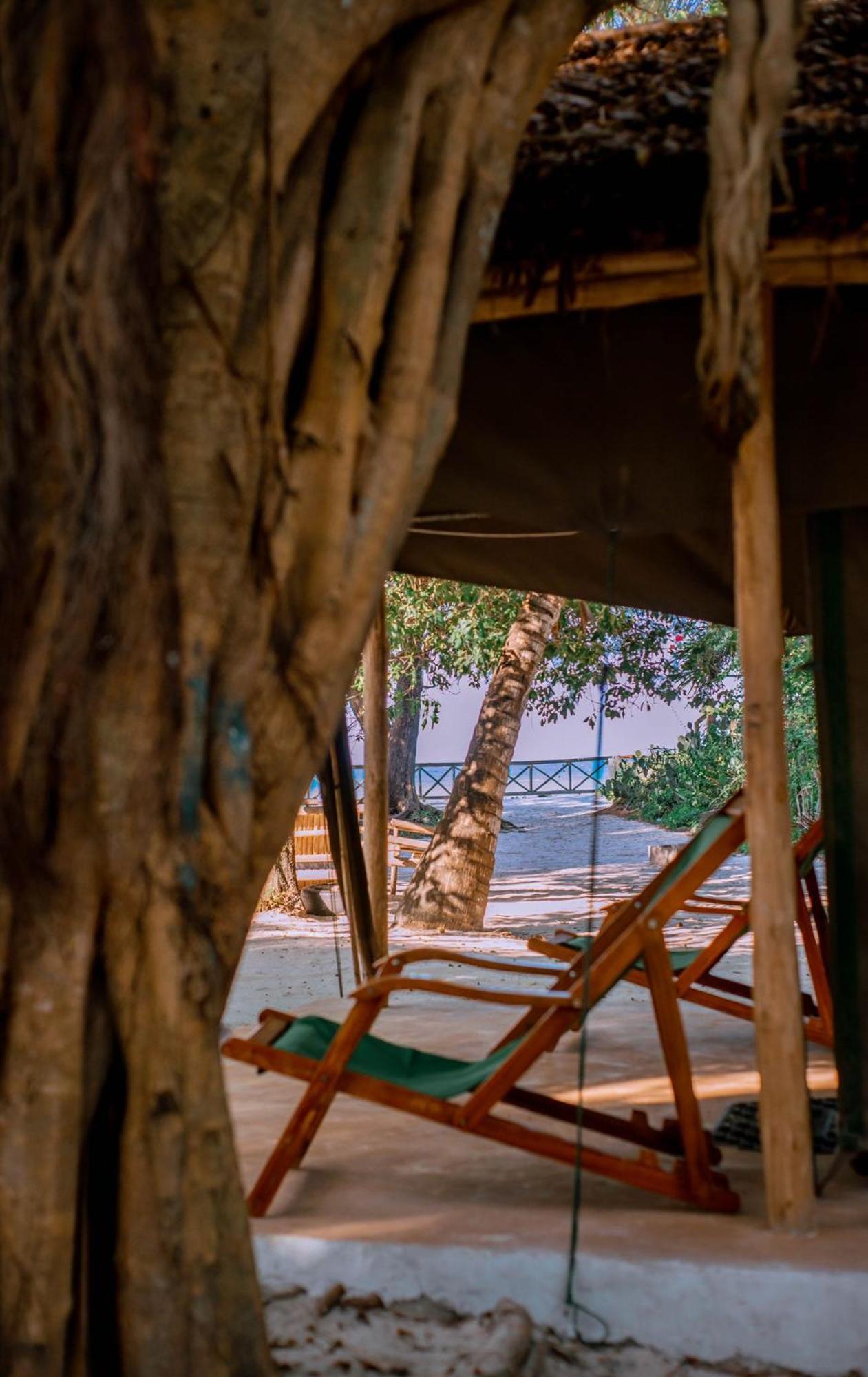 Hostel Mikadi Beach Camp & Backpackers Dar es Salaam Exteriér fotografie
