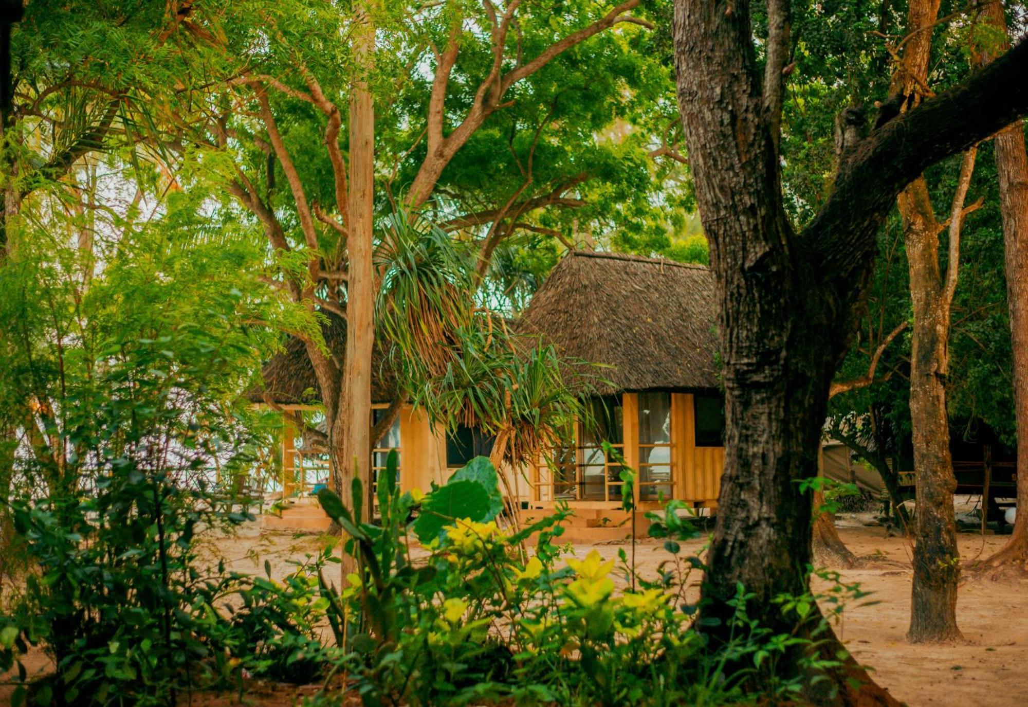 Hostel Mikadi Beach Camp & Backpackers Dar es Salaam Exteriér fotografie