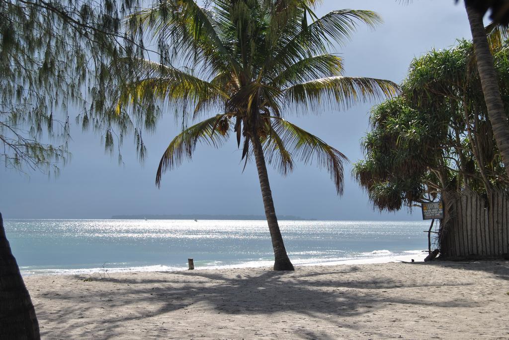 Hostel Mikadi Beach Camp & Backpackers Dar es Salaam Exteriér fotografie