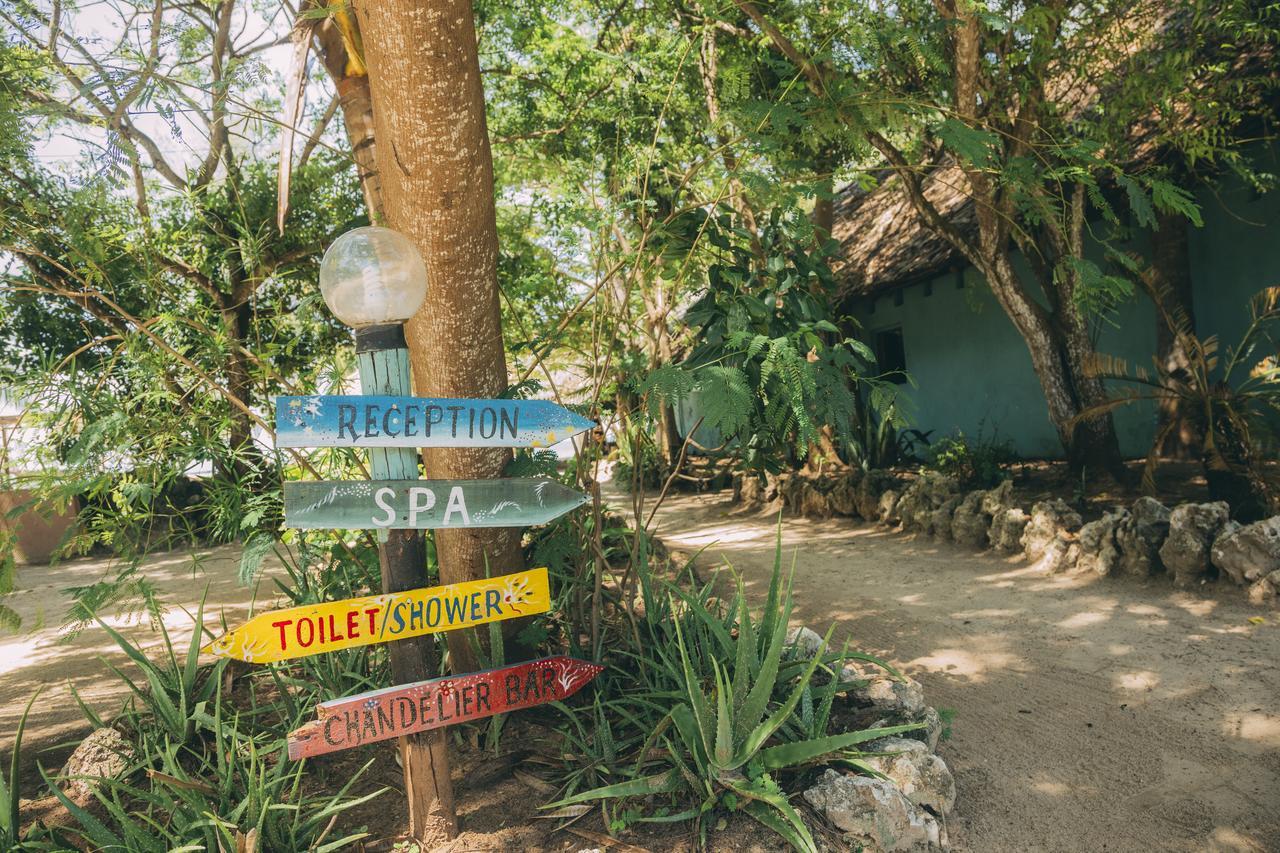 Hostel Mikadi Beach Camp & Backpackers Dar es Salaam Exteriér fotografie